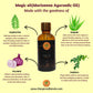 Magic Oil - Pain Relief (100ml)